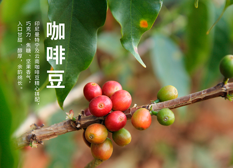 艾弗森·贝博ballbet