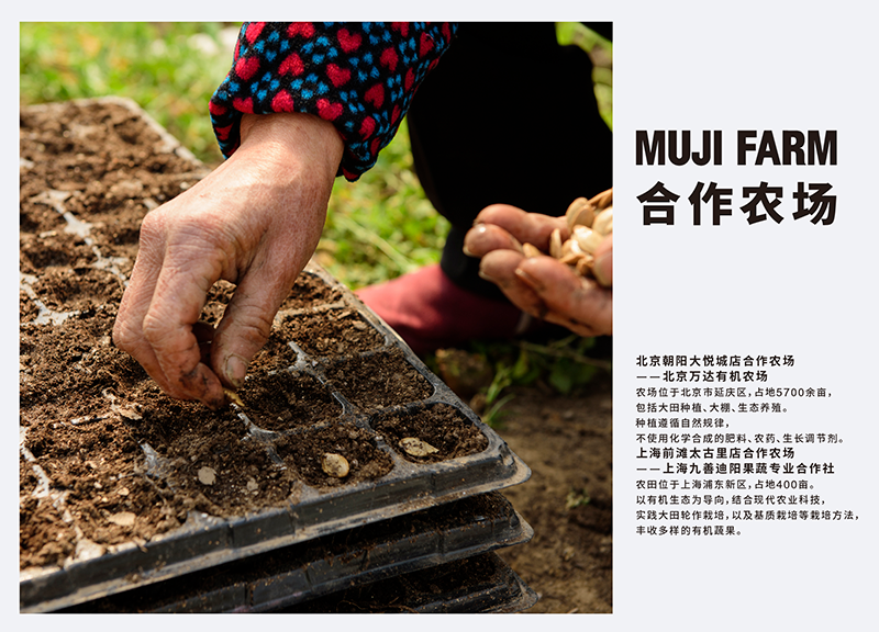 艾弗森·贝博ballbet