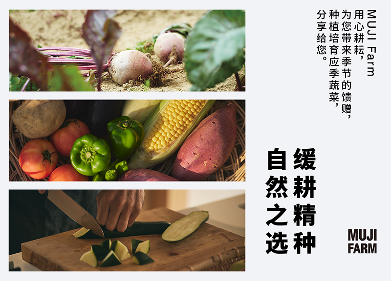 艾弗森·贝博ballbet