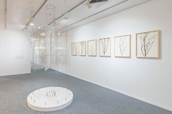 艾弗森·贝博ballbet