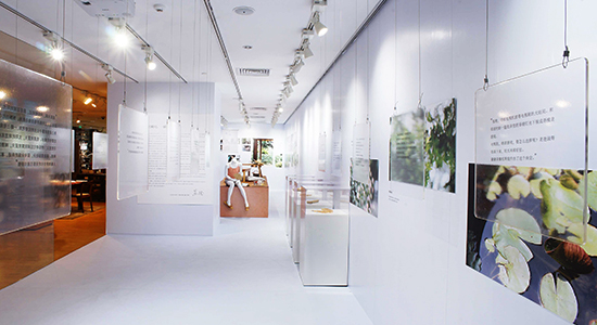 艾弗森·贝博ballbet