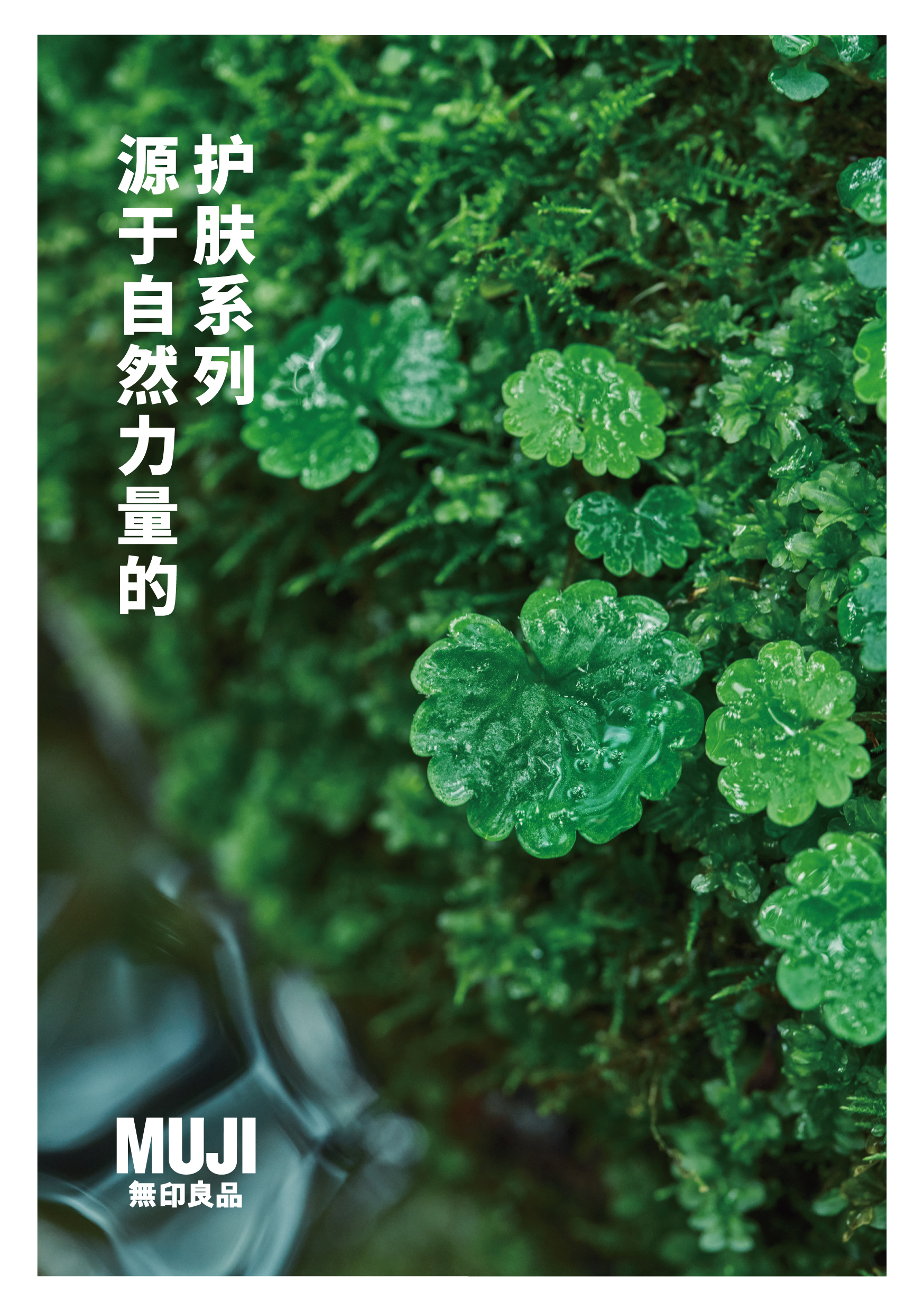 艾弗森·贝博ballbet