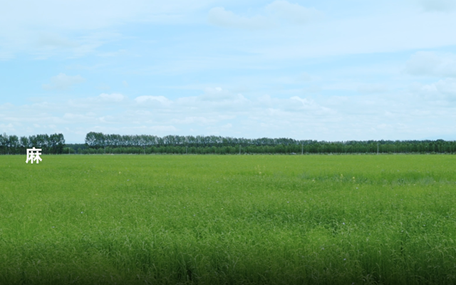 艾弗森·贝博ballbet