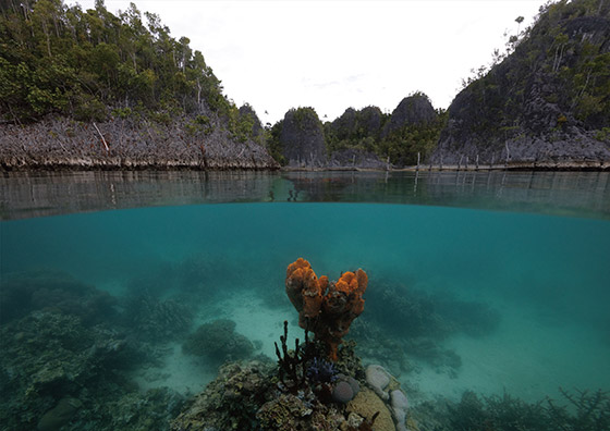 艾弗森·贝博ballbet