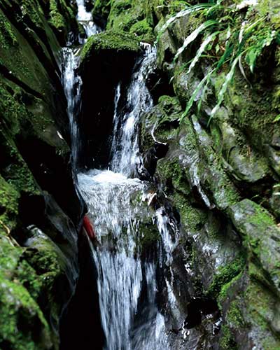 無印良品山泉水，，，，，践行可一连理念